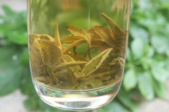 茉莉龍珠泡開后為什么都是梗，茉莉龍珠泡開后什么樣？