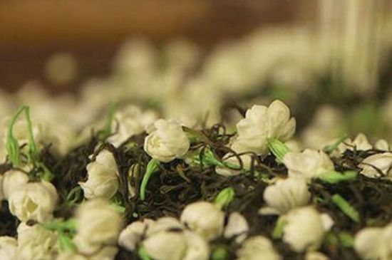 蒸茶器可以蒸花茶嗎，蒸茶器能用來蒸茉莉花茶嗎？