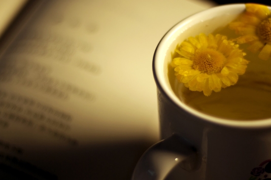 經(jīng)常菊花泡水好嗎，喝菊花茶有什么好處？