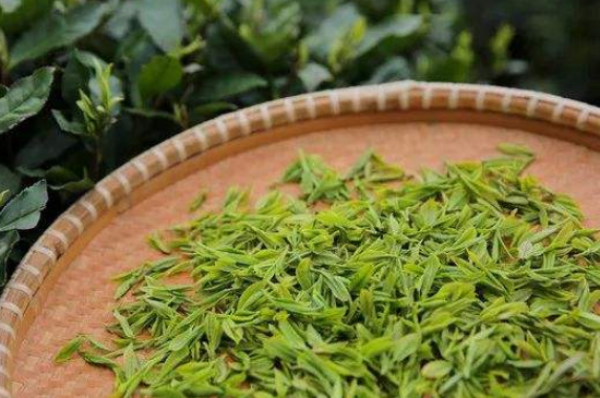 炒青綠茶與綠茶的區(qū)別，烘青和炒青哪個好喝？