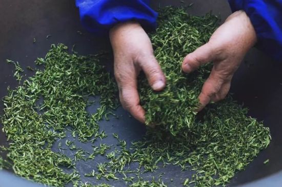 自家炒茶葉怎么炒，自己炒茶葉的步驟