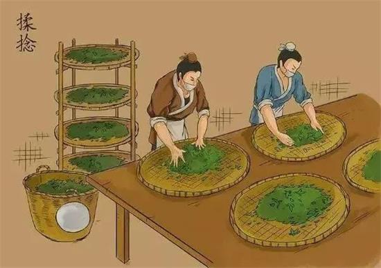 制茶八步驟，制茶工藝流程圖