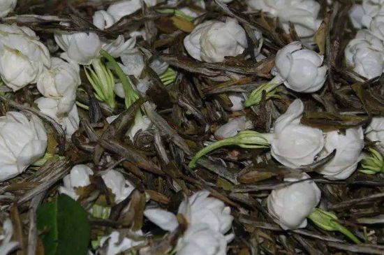 茉莉龍珠怎么做的，茉莉龍珠的制作工藝
