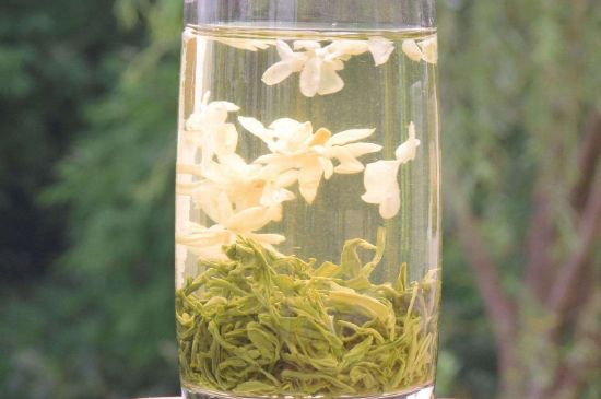 茉莉龍珠可以和什么一起泡茶，茉莉龍珠茶能加蜂蜜嗎？