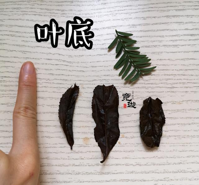 正山小種很細(xì)還很黑亮，正山小種越細(xì)越好嗎