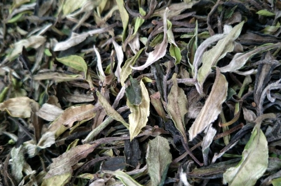 福鼎白茶貢眉和壽眉的區(qū)別，壽眉與貢眉有什么區(qū)別