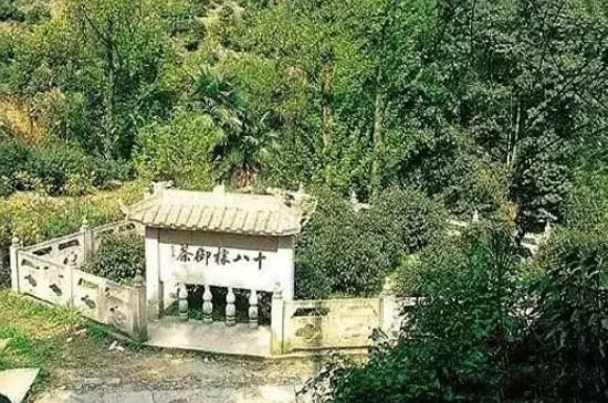 母樹(shù)大紅袍給誰(shuí)喝了，為什么母樹(shù)大紅袍叫三棵六株？
