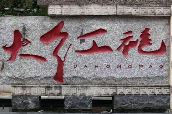 母樹(shù)大紅袍給誰(shuí)喝了，為什么母樹(shù)大紅袍叫三棵六株？