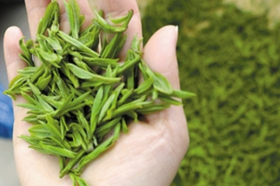潮汕炒茶屬于什么茶，潮汕炒茶是綠茶嗎？