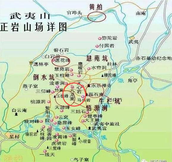 母樹(shù)大紅袍給誰(shuí)喝了，為什么母樹(shù)大紅袍叫三棵六株？