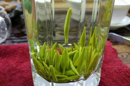 雀舌有一股青草味，雀舌為什么有青草味？