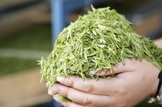 高山云霧茶屬于什么茶，高山云霧茶哪里的最好