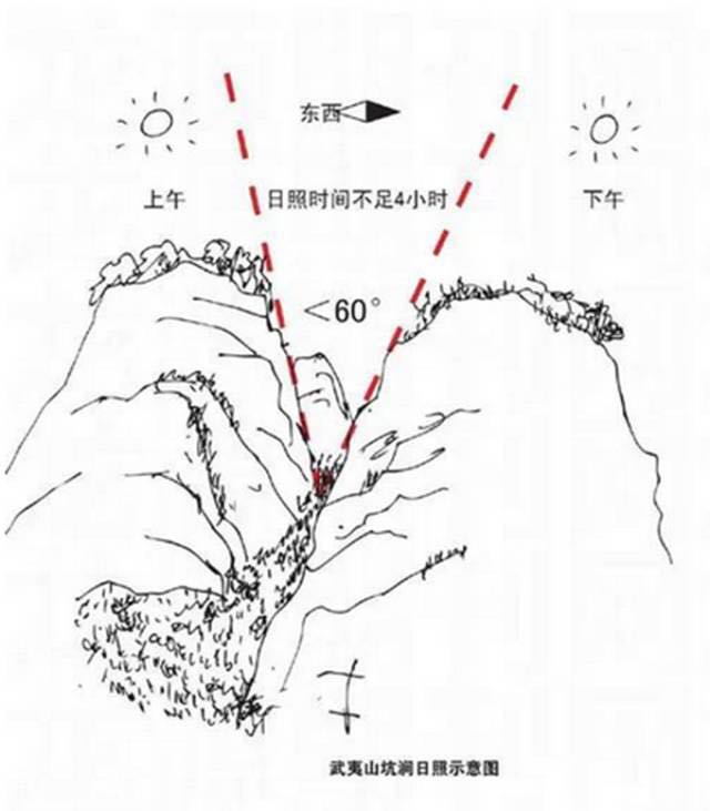 武夷山為什么盛產(chǎn)茶葉，武夷山茶為什么好喝？
