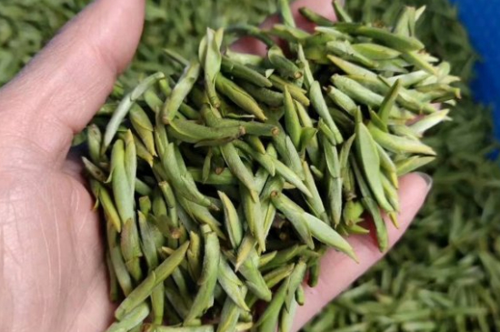 龍井茶好壞的鑒別圖片，如何區(qū)別龍井茶的好壞？