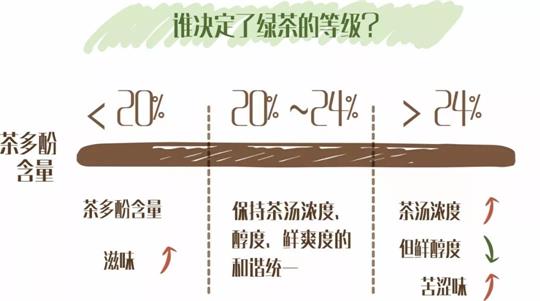 什么綠茶口味重口感濃郁，口味比較重的綠茶都有那些？