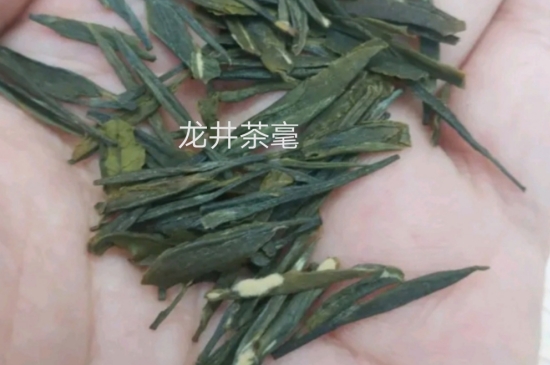 西湖龍井茶毫和發(fā)霉區(qū)別圖片，長霉的龍井茶葉會是什么樣？