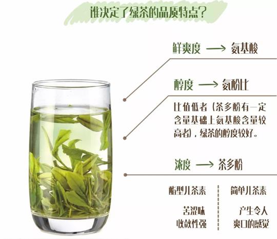 什么綠茶口味重口感濃郁，口味比較重的綠茶都有那些？