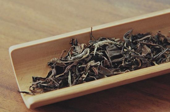 怎么撬老白茶茶餅不容易碎，福鼎白茶如何撬茶方法