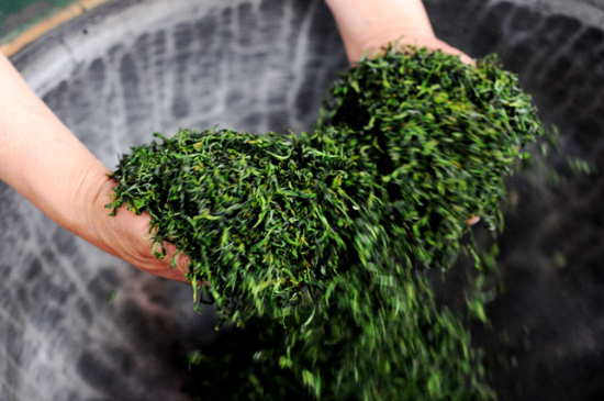 潮汕炒茶屬于什么茶，潮汕炒茶是綠茶嗎？