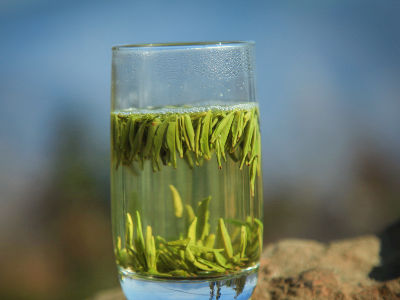 竹葉青茶怎么樣，檔次較高味道略苦價格比較貴