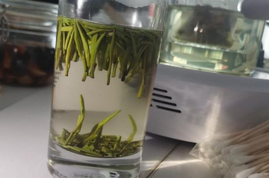 金壇雀舌算不算好茶，金壇雀舌屬于什么檔次茶葉？
