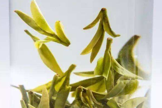 烏牛早和龍井的區(qū)別圖片，龍井43號(hào)和烏牛早茶的對(duì)比