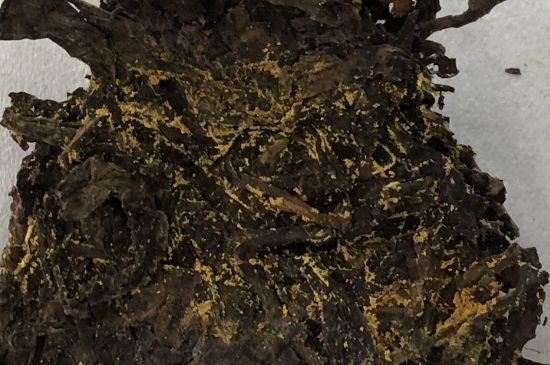 怎么知道涇渭茯茶是否變質(zhì)，茯磚茶金花和發(fā)霉的區(qū)別