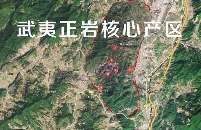 武夷山為什么盛產(chǎn)茶葉，武夷山茶為什么好喝？