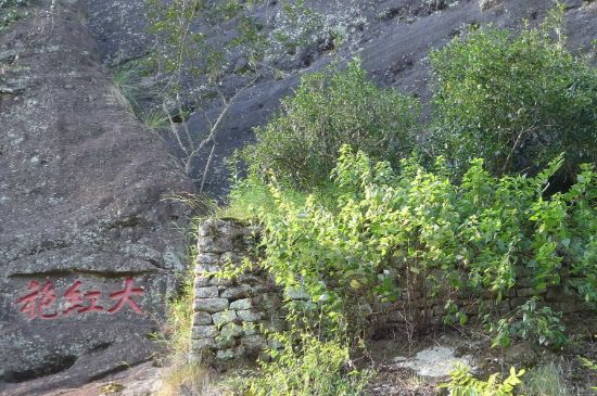 母樹(shù)大紅袍給誰(shuí)喝了，為什么母樹(shù)大紅袍叫三棵六株？