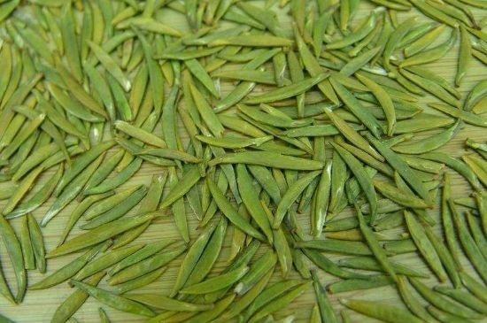 竹葉青和毛尖的區(qū)別，毛尖和竹葉青怎么分辨？