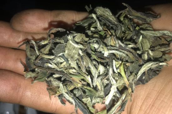 7年壽眉和2年白牡丹哪個(gè)好，老白茶壽眉與白牡丹的口感區(qū)別