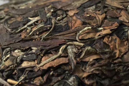 福鼎白茶要喝老的嗎，為什么喝白茶要喝老茶存新茶？