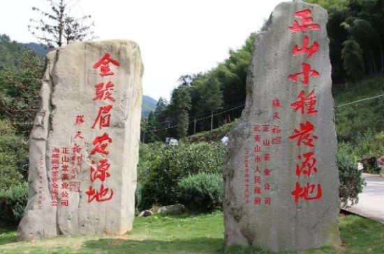 300塊錢的金駿眉能喝嗎，兩三百多金駿眉和一千多區(qū)別
