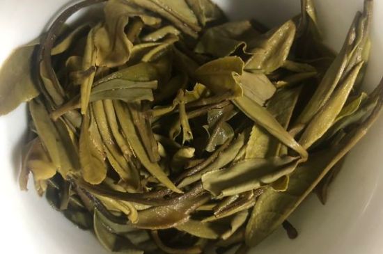 三年白茶賽砒霜，這是真的嗎？