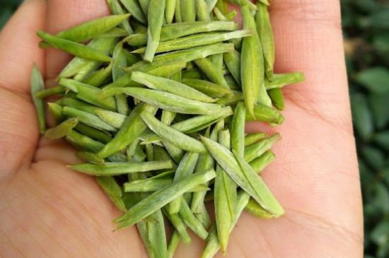 什么綠茶味道濃香，那個綠茶比較濃香？