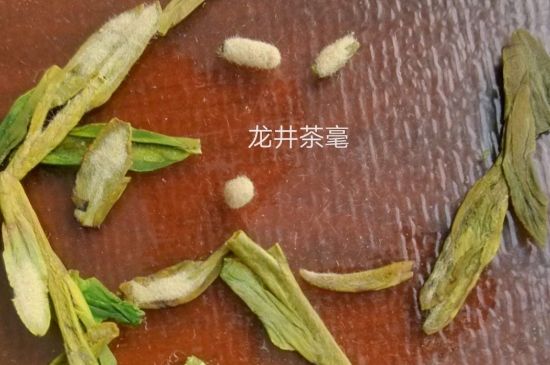西湖龍井茶毫和發(fā)霉區(qū)別圖片，長霉的龍井茶葉會是什么樣？