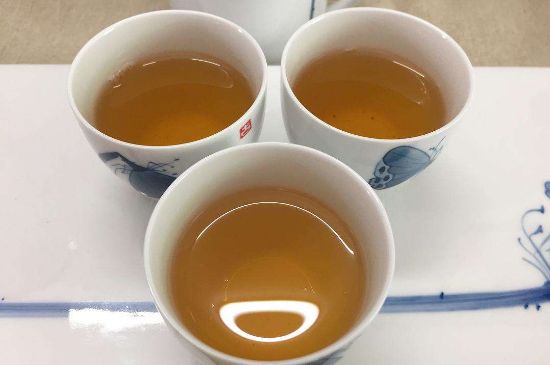 蜜蘭香和鴨屎香區(qū)別，鳳凰單樅鴨屎香vs蜜蘭香圖片對(duì)比