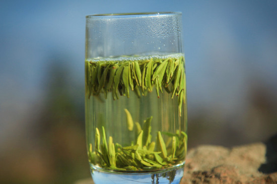 竹葉青茶泡不立起來怎么回事，竹葉青茶怎么泡立起來
