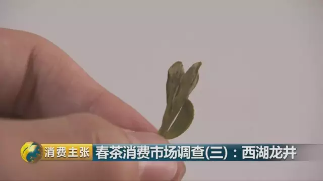 龍井群體種和43號(hào)的區(qū)別圖片，龍井43和群體種哪個(gè)好喝？