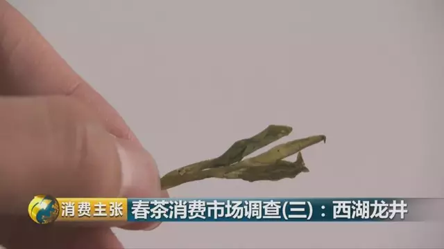 龍井群體種和43號(hào)的區(qū)別圖片，龍井43和群體種哪個(gè)好喝？