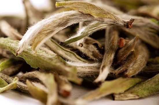 荒野銀針有什么特點(diǎn)，荒野銀針的味道口感咋樣？
