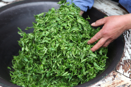潮汕炒茶屬于什么茶，潮汕炒茶是綠茶嗎？
