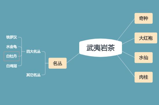 武夷巖茶品種大全，巖茶有幾種？