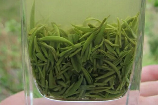 什么綠茶茶葉唇齒留香，哪個(gè)品種綠茶香氣好？