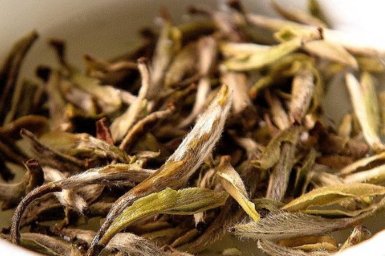 荒野銀針市場價多少，真正的荒野白毫銀針多少錢？