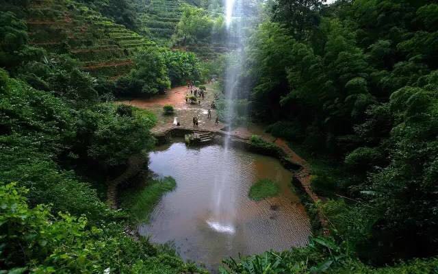 武夷山為什么盛產(chǎn)茶葉，武夷山茶為什么好喝？
