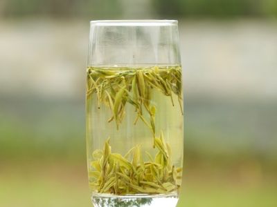 霍山黃芽算是好茶嗎，霍山黃芽屬于什么茶？