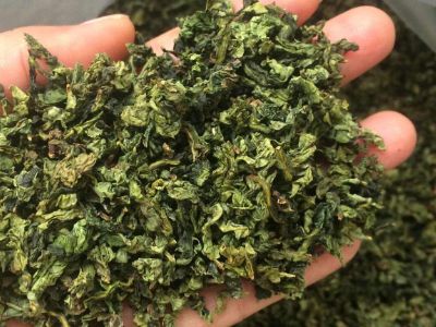 鐵觀音毛茶茶梗可以泡水喝嗎，鐵觀音帶梗是不是好茶？