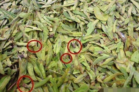 烏牛早和龍井的區(qū)別圖片，龍井43號(hào)和烏牛早茶的對(duì)比