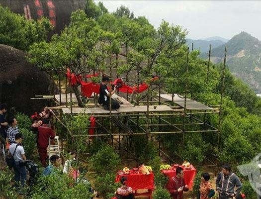 宋種一號價值為什么高，鳳凰單樅宋種1號價格與產(chǎn)量多少？